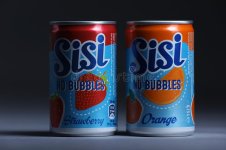 sisi campbel soup.jpg