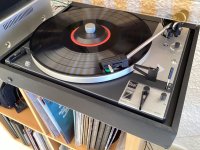 IMG_0709.jpeg