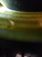 20230421_021003.jpg
