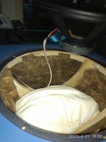 IMG_20230421_195053.jpg