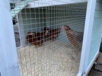 IMG_1257.jpeg