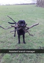 Branch Manager.JPG