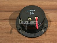 SPKR005-1-IV.jpg
