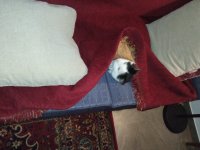 IMG_20230310_213654.jpg