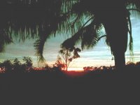 sunrise @ thompson rd.jpg