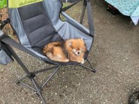 IMG_0921.jpeg
