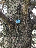 Tree Outlet 1.jpg