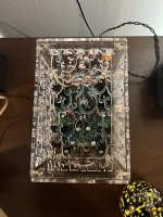 IMG_2262.jpeg