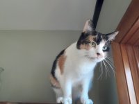 20230330_101245.jpg