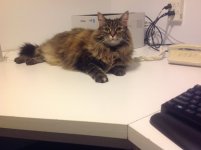 IMG_0761.jpeg