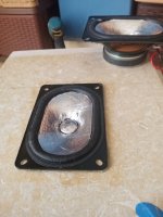IMG_20230521_075139.jpg