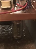 IMG_6281.jpeg