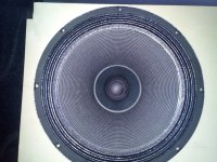 IMG_20220125_153801.jpg