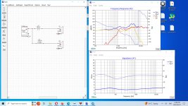 XSIM_issue.jpg