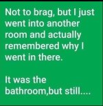 IMG_0982.jpeg