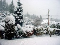 snow_sm.jpg