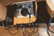 img_3329.gif