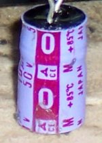 purplecap 003.jpg