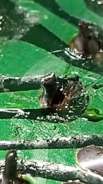 20230613_183917.jpg 20230613_183917.jpg