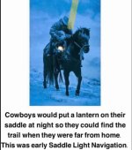 IMG_0991.jpeg