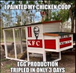 IMG_0993.jpeg