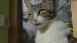 DSC02432.JPG