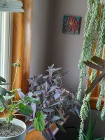 20230623_102904.jpg