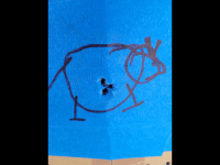 196B05FB-BF3E-473F-9299-DCAD05F3395B.png