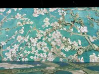 596e12bb-b23c-4cc2-9eb7-bacbcf9792a9.jpeg