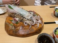 IMG_0384.jpeg