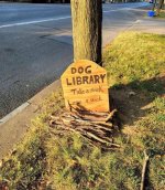 IMG_1010.jpeg