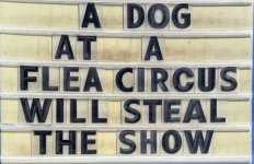 IMG_1016.jpeg
