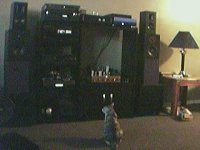 image051.jpg