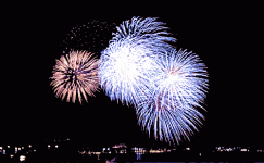 firework-pictures-3.gif