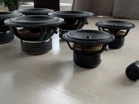 IMG-6016.jpg