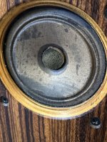 IMG_3152.jpeg