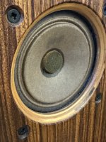 IMG_3153.jpeg