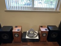 IMG_2308.jpeg