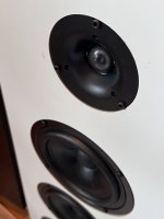 IMG_3006.jpeg