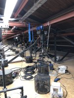 IMG_0678.jpeg