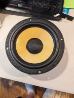 PXL_20230802_161718605.jpg