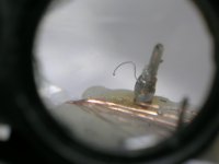 DSCN6810.JPG