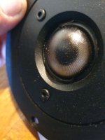 20230803_190305.jpg