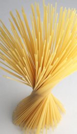 Spaghetti_spiral_2008.jpg Spaghetti_spiral_2008.jpg