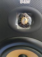IMG_20230809_164045.jpg