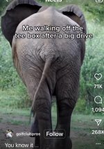 IMG_1058.jpeg