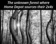 IMG_1072.jpeg
