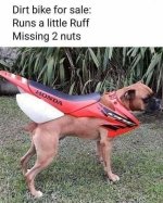 For Sale.JPG