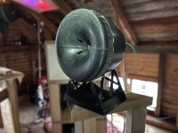 IMG_2304.jpeg