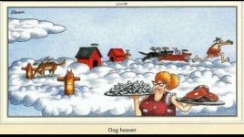 Dog Heaven.jpg